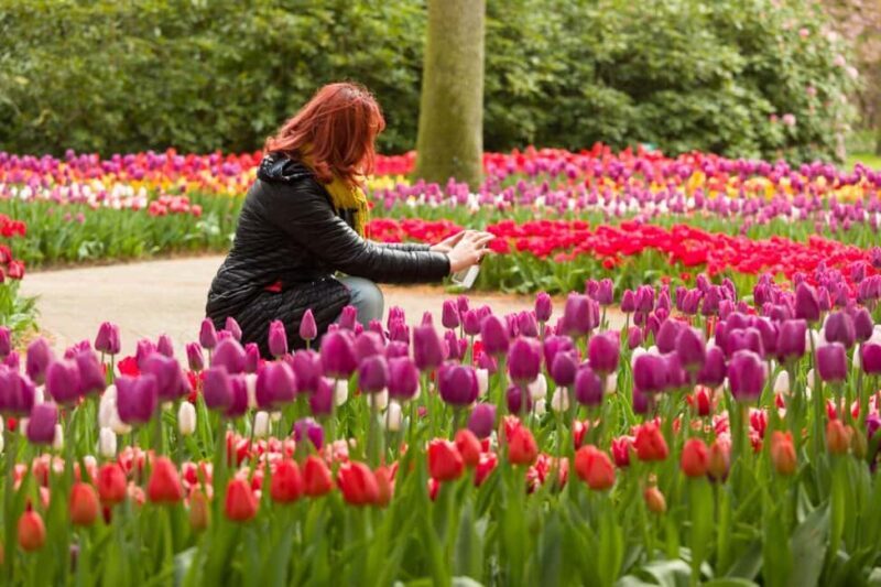 Magical Delft and the Keukenhof Estate: Tulips Galore - Who Is This Tour Best For?