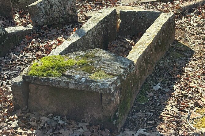 Magical Golf Cart Tour Through Peachtree City Trails - FAQ