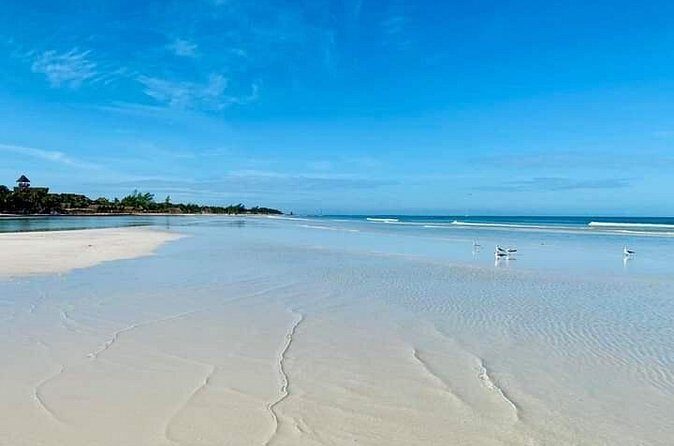 Magical Holbox Punta Mosquito Tour from Cancun - The Sum Up