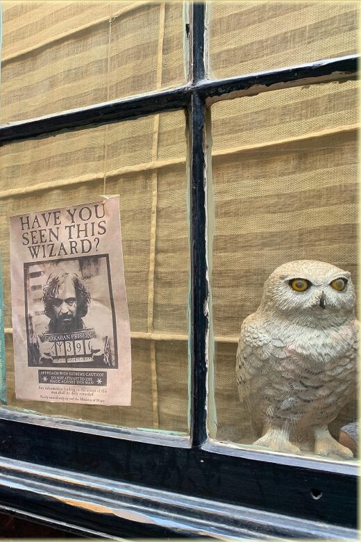 Magical Movies: London Harry Potter Tour - Who Should Consider This Tour?