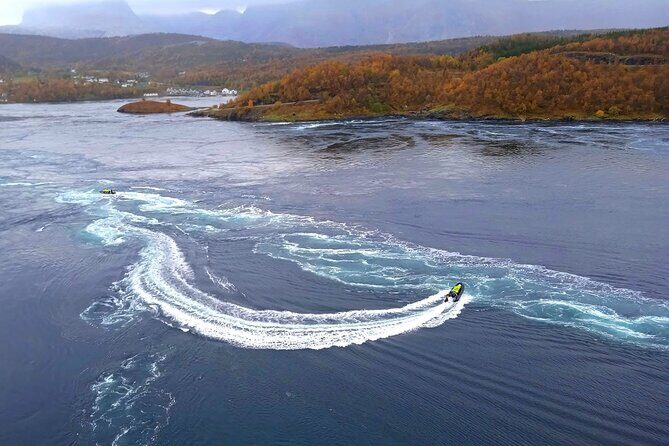 Magical Saltstraumen Tour - Key Points