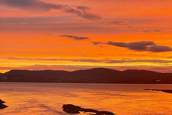 Magical Saltstraumen Tour - The Tour Breakdown: What to Expect