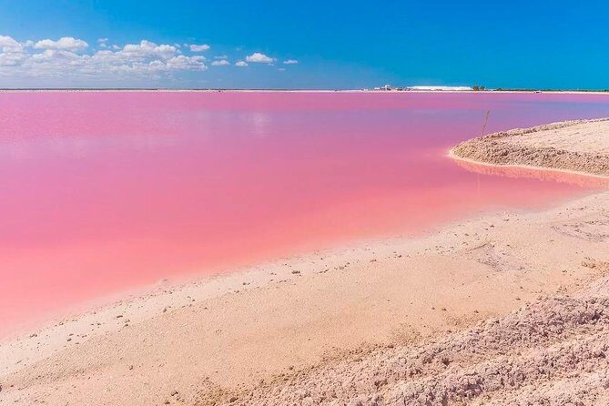 Magical Tour Las Coloradas Natural Pink Lagoon from Riviera Maya - FAQs about the Las Coloradas Pink Lagoon & Rio Lagartos Tour