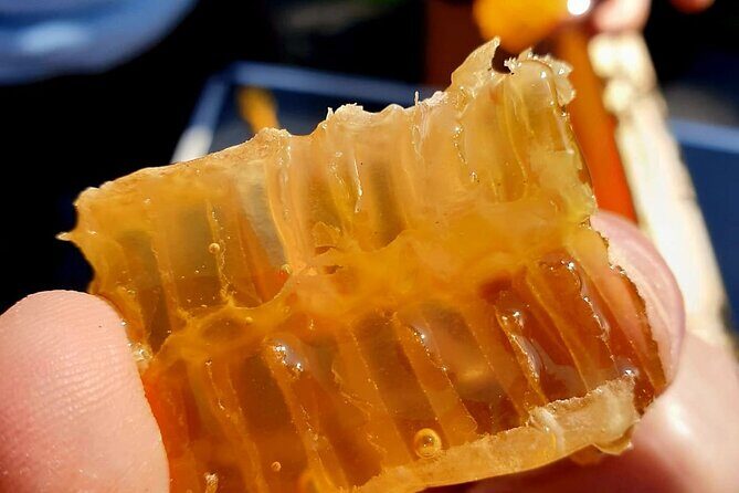 Magical World of Beekeeping on São Miguel Azores Private Tour - Exploring the Magic of Beekeeping on São Miguel