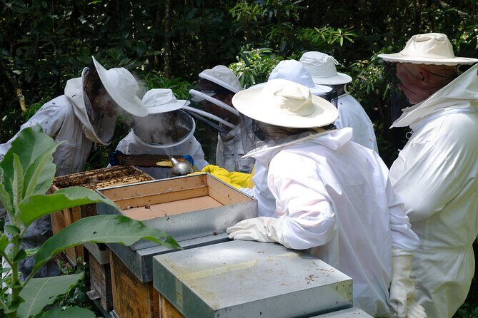Magical World of Beekeeping on São Miguel Azores Private Tour - Final Thoughts