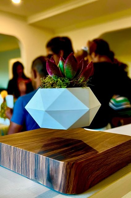 Magnetic Floating Terrarium Workshop - What is the Magnetic Floating Terrarium Workshop?