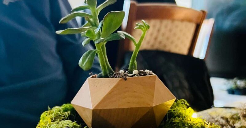 Magnetic Floating Terrarium Workshop - The experience and atmosphere
