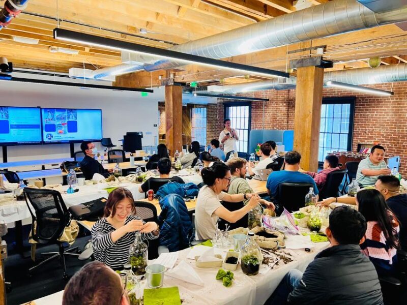 Magnetic Floating Terrarium Workshop - The pros and cons