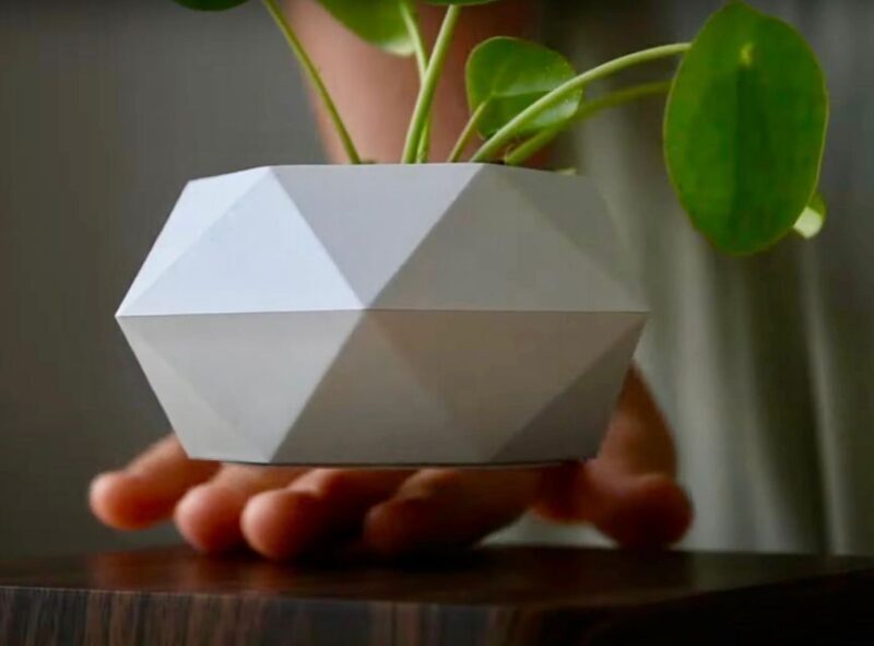 Magnetic Floating Terrarium Workshop - Who should try this?