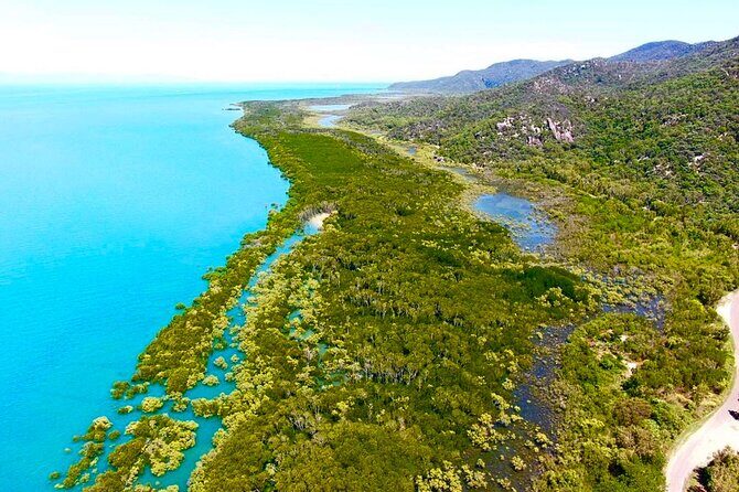 Magnetic Island Tour Behind the Scenes - Final Thoughts