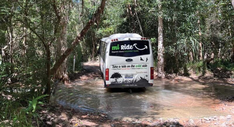 Magnetic Island: West Coast Eco Adventure Bus Tour - Wildlife Sightings and Natural Encounters