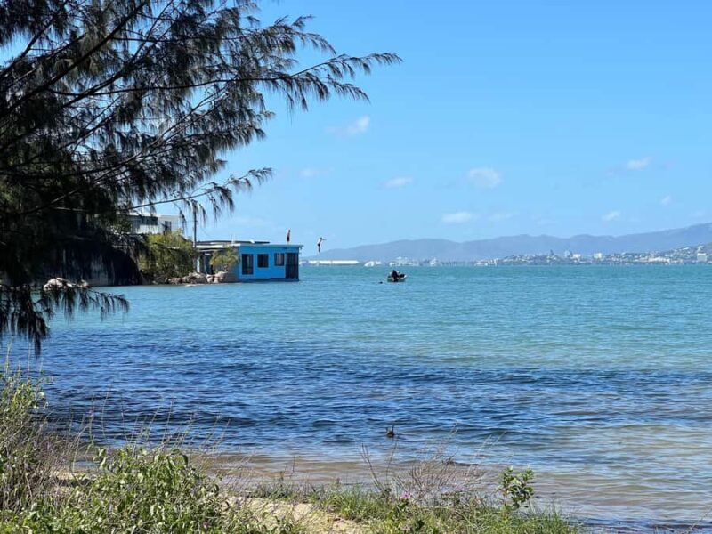 Magnetic Island: West Coast Eco Adventure Bus Tour - Who Is This Tour Best For?