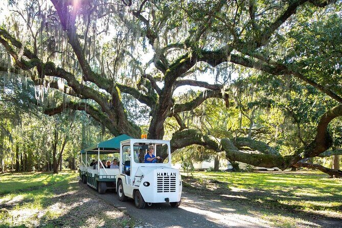 Magnolia Plantation Day Tour with Transportation - Practical Details and Tips