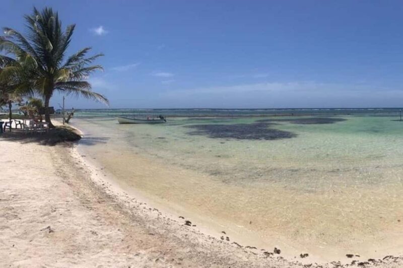 Mahahual: All-Inclusive Costa Maya Beach Break with Open Bar - What to Expect from Your Mahahual Beach Day