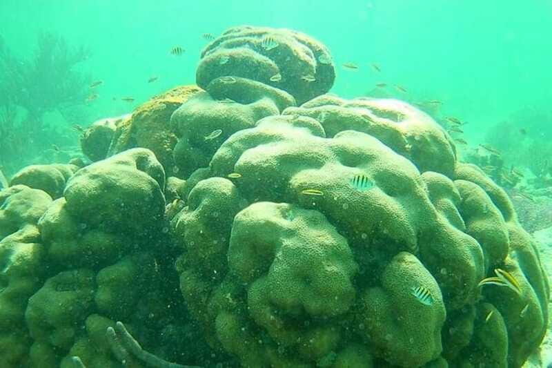 Mahahual: Costa Maya Snorkeling Adventure by Boat - Final Thoughts