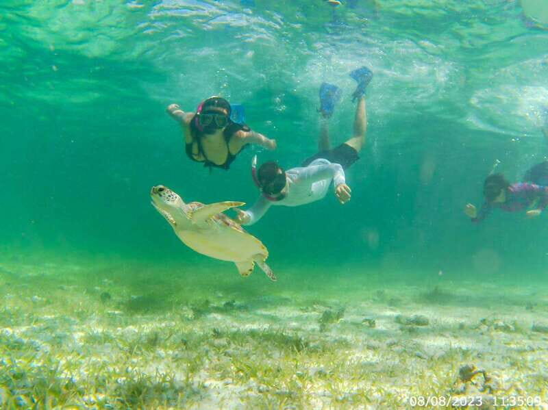 Mahahual: Snorkeling Boat Tour - The Marine Experience