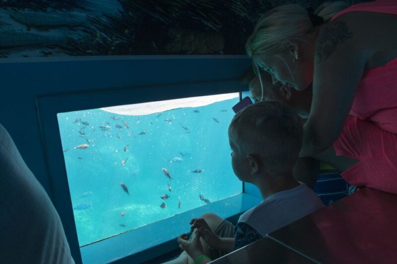 Mahon: Harbor Boat Tour with Underwater Viewing & Commentary - FAQ