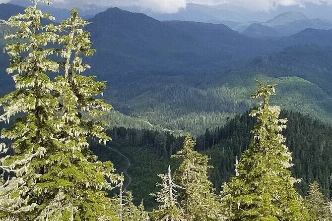 Mahoney Lake Off-Road UTV Tour - Is It Worth the Price?