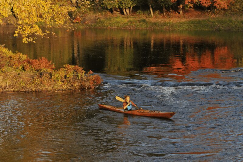 Maine: Full or Half-Day Single Kayak Rental - A Detailed Look at the Experience