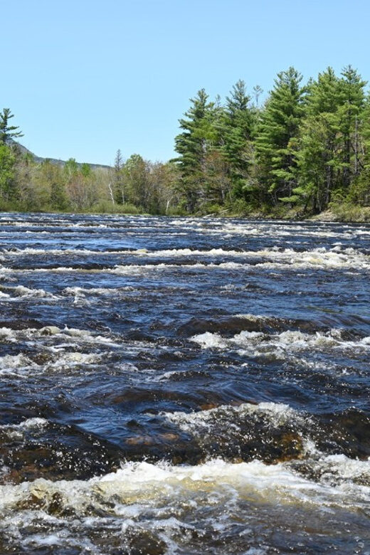 Maine: Penobscot Downriver Boat Rides - Final Thoughts