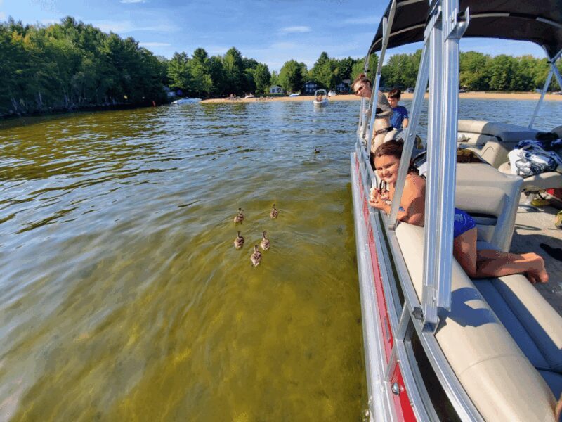 Maine: Penobscot River Private Charter Boat Ride - Key Points