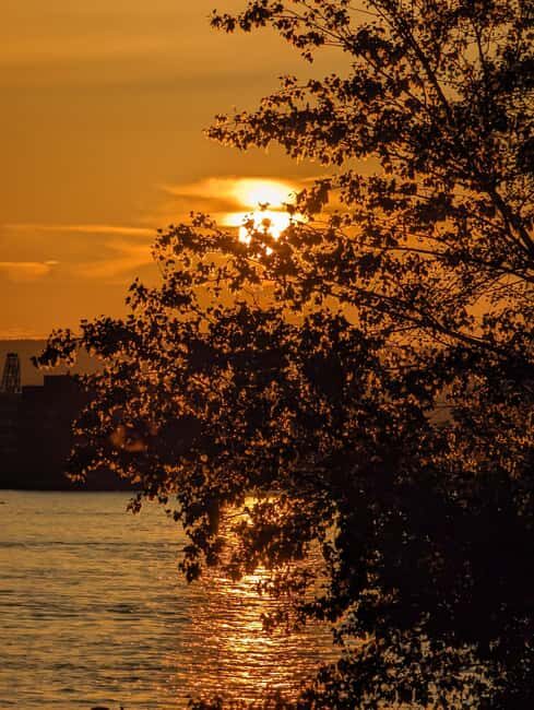 Mainz: guided evening tour of the Rhine riverbank/old town in German and English - An Engaging Walk through Mainz After Dark
