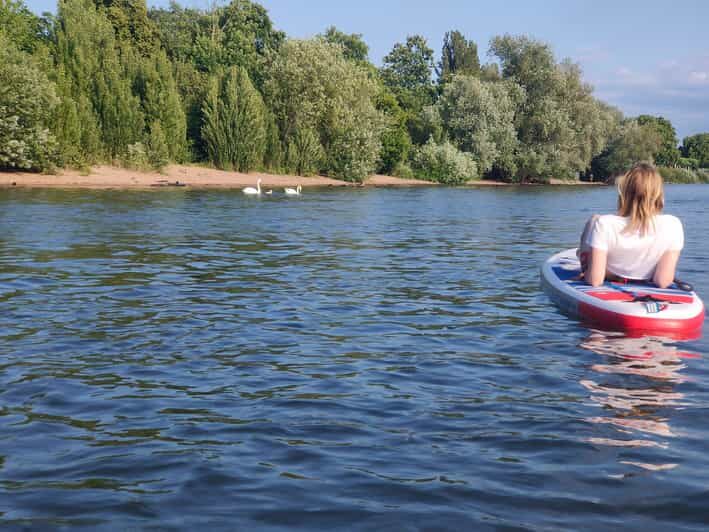 Mainz: Stand Up Paddling Tour on the Rhine River - FAQ