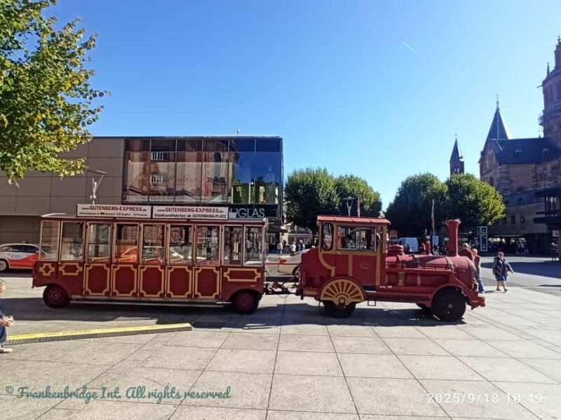 Mainz: Walking Tour with Local Guide - What to Expect from the Experience