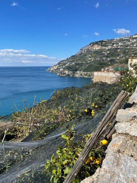Maiori: Amalfi Coast Path of Lemons Day Trip with Tastings - The Journey Through the Path of Lemons