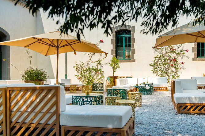 Maison Noilly Prat VIP tour, wine and vermouth tastings - Who Will Love This Tour?