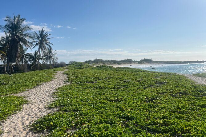 Makalawena Hike and Swim with Native Hawaiian - Final Thoughts: Who Will Love This Tour?