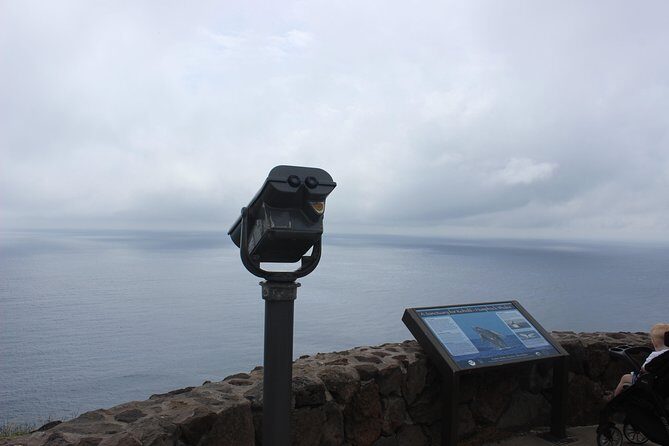 Makapuu Lighthouse Trail and Shuttle Service - An Honest Look at the Experience