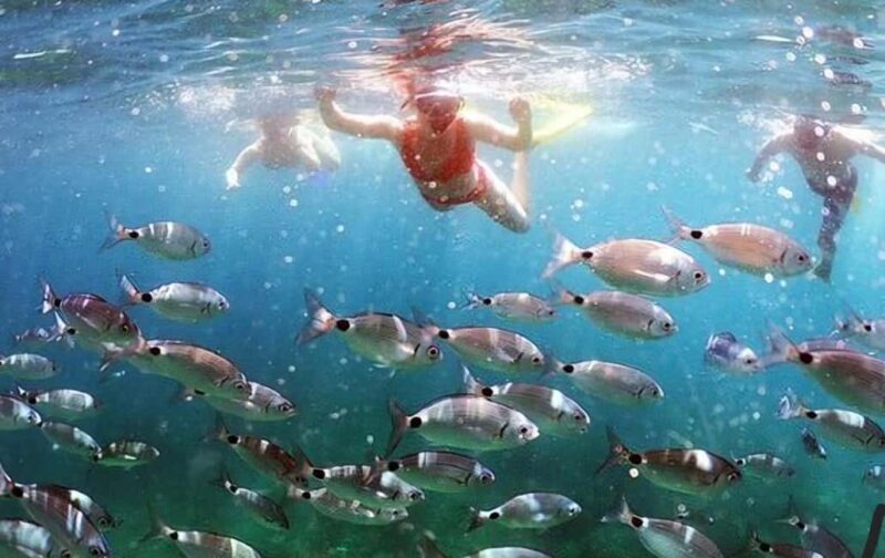 Makarska: 3 island, Cave, Cliffs, Jelsa, Lagoon, Golden Horn - Final Thoughts