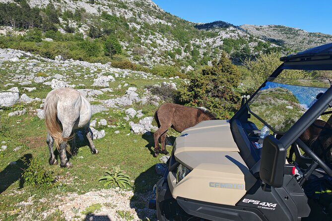 Makarska: Baggy Skywalk & Biokovo viewpoint Tour - Final Thoughts: Is It Right for You?