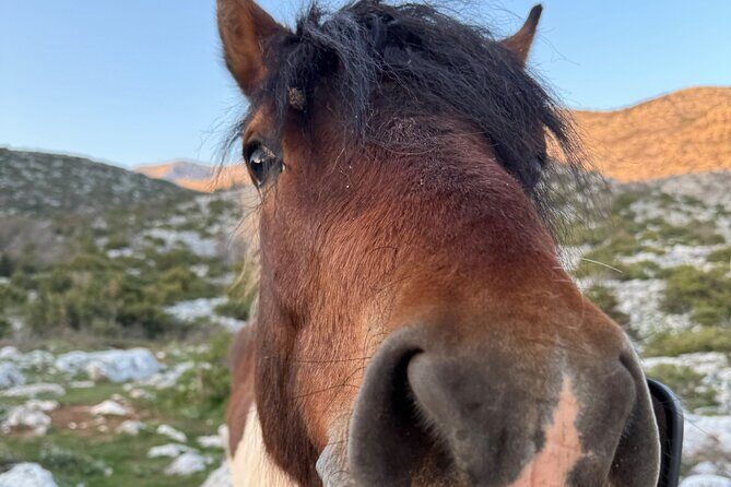 Makarska: Skywalk Tour with a Tuk Tuk - Skip the line ticket - Additional Touches and Benefits