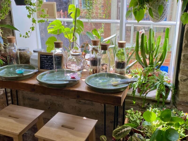 Make Your Own Terrarium in a houseplant paradise - Getting the Most Out of Your Terrarium Experience