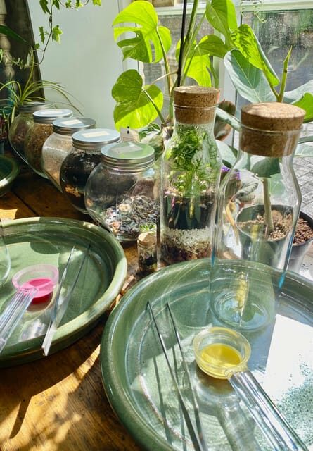 Make Your Own Terrarium in a houseplant paradise - Who Will Love This Experience?