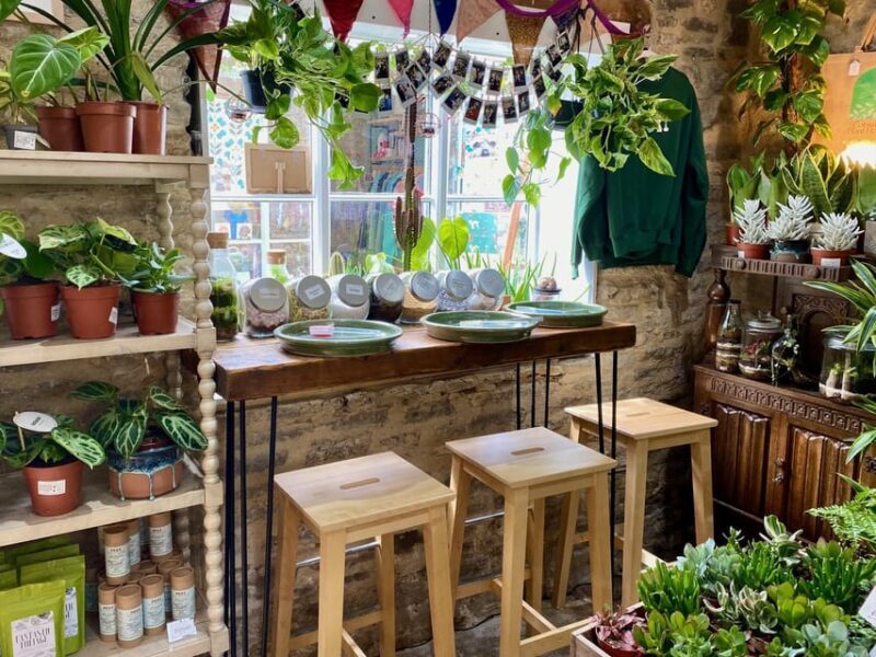 Make Your Own Terrarium in a houseplant paradise - The Sum Up