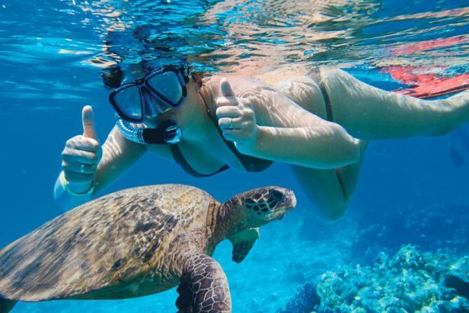 Makena-Wailea Explorer Trip in Maui - What to Expect from the Trip