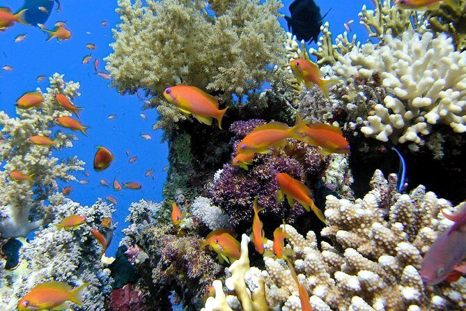 Makena-Wailea Explorer Trip in Maui - Who Should Consider This Tour?