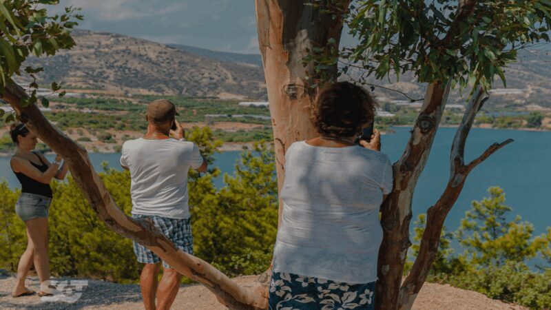 Makrigialos-Ierapetra: Hidden Villages & Olive Oil Farm Tour - What Travelers Are Saying