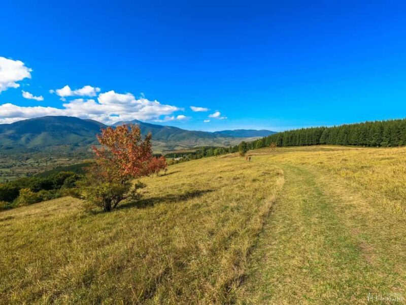 Mala Orlica Via Ferrata Climbing Experience - Key Points