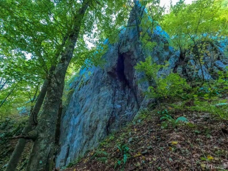 Mala Orlica Via Ferrata Climbing Experience - The Experience Provider and Logistics