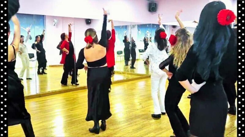 Málaga: 1-Hour Flamenco Dance Class with a Spanish Teacher - Final Thoughts: Who Should Consider This?