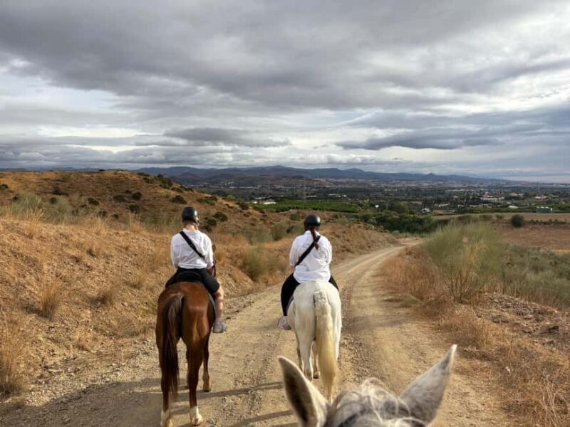 Malaga 1-hour Horseback Riding Tour with a Local Guide through the Guadalhorce Valley - Who Is This Tour Best For?