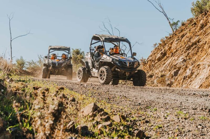 Málaga: 1-Hour Off-Road Buggy Adventure in Mijas - Key Points