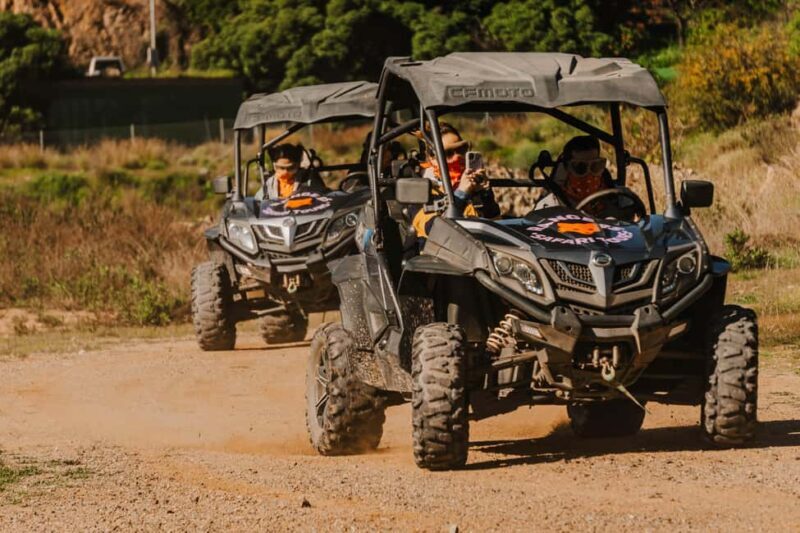 Málaga: 1-Hour Off-Road Buggy Adventure in Mijas - What to Expect from the Buggy Adventure