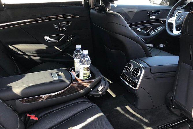 Malaga Airport (AGP) to Marbella - Round-Trip Private Transfer - Who Should Consider This Transfer?