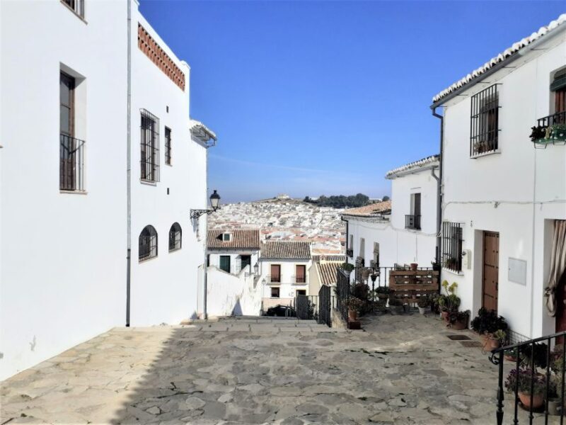 Málaga: Antequera Guided Walking Tour - Final Thoughts: Is This Tour Right for You?