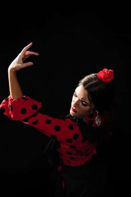 Malaga: Authentic Flamenco Dinner Show at Restaurant VinoMio - Key Points